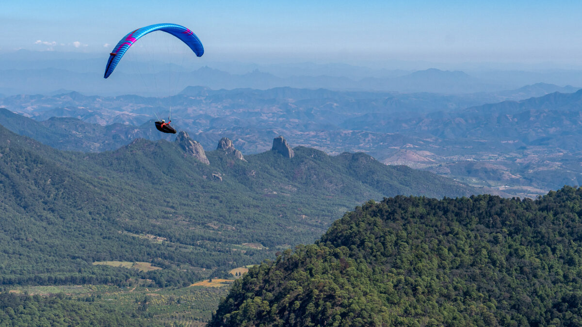 ozone-photon-ltm_4 ozone-photon-ltm_4