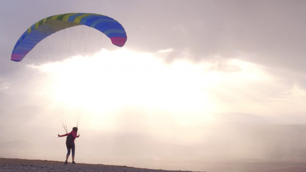 bgd_seed_1 bgd_seed_1