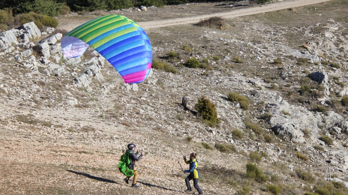 bgd_seed_2 bgd_seed_2