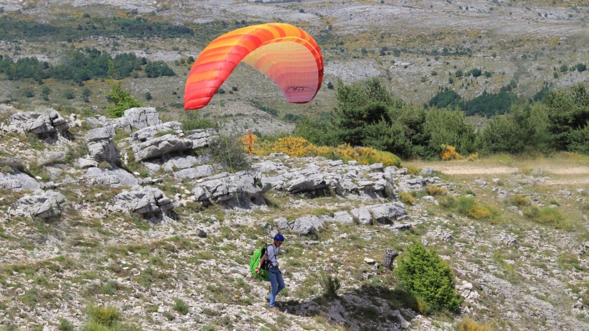 bgd_seed_4 bgd_seed_4