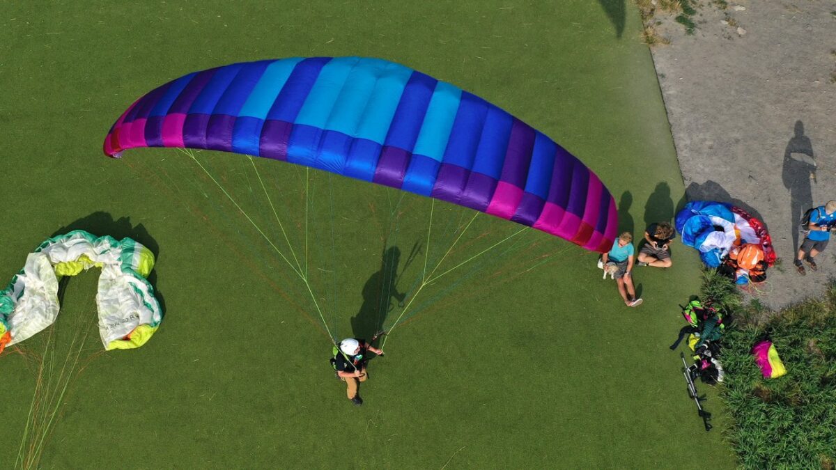 bgd_seed_8 bgd_seed_8