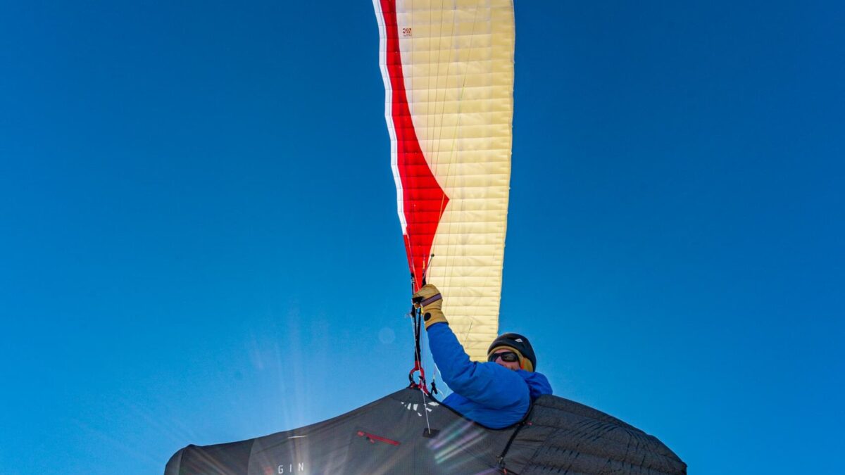 JM22-09-bonanza3 mustard-1 JM22-09-bonanza3 mustard-1