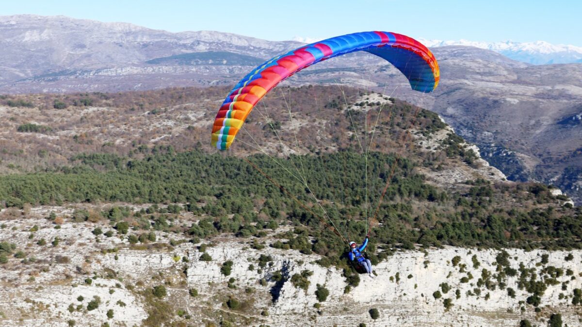 1644587206-3226 1644587206-3226