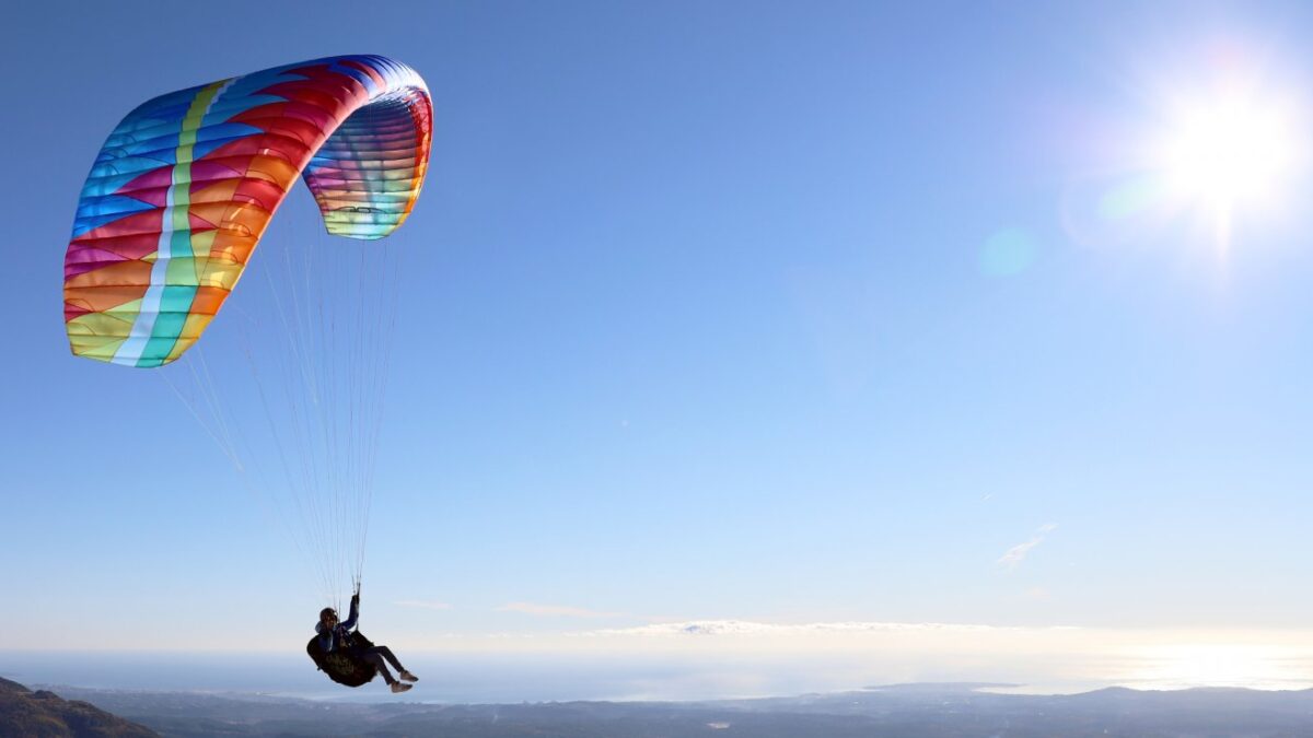 1644587244-8329 1644587244-8329