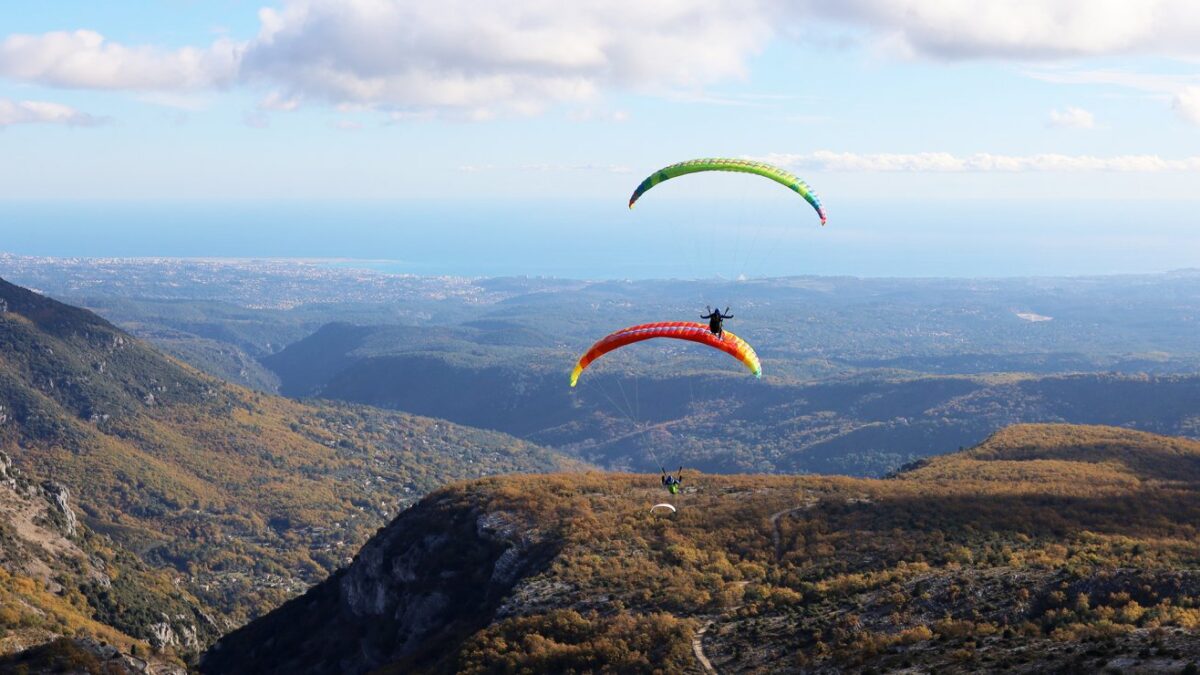 1644587277-9732 1644587277-9732