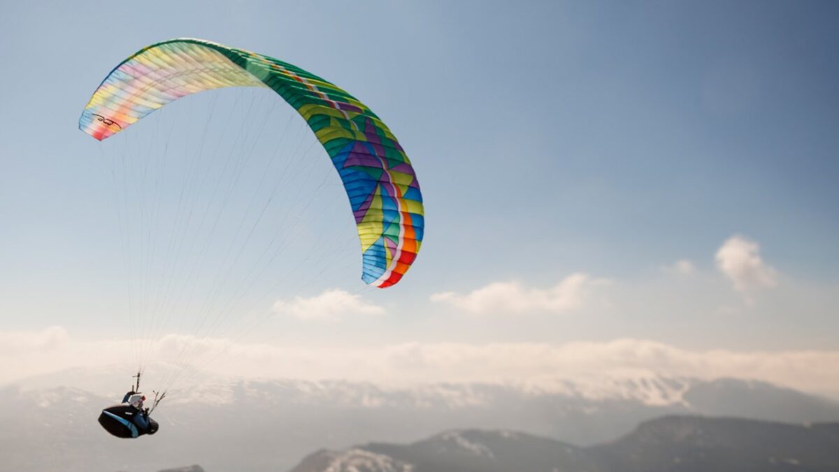 1648820717-7795 1648820717-7795