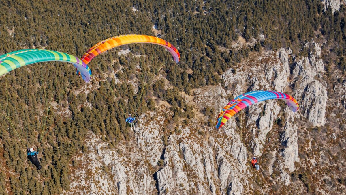 1649063684-4452 1649063684-4452