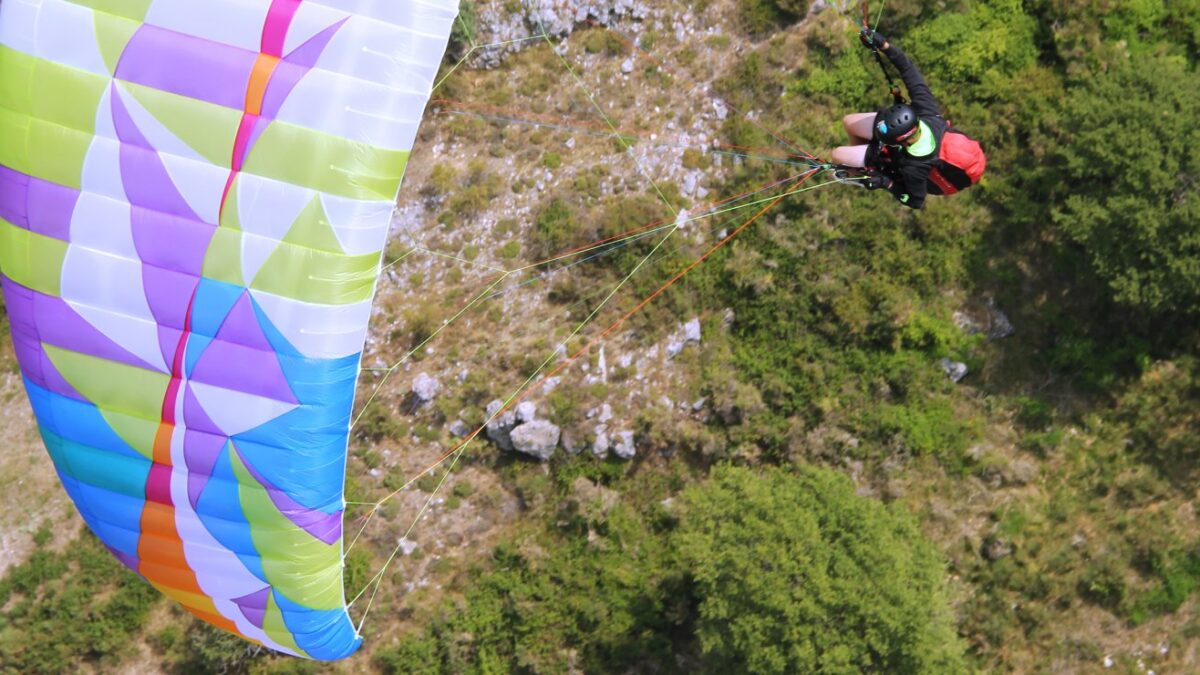 1662717484-2781 1662717484-2781