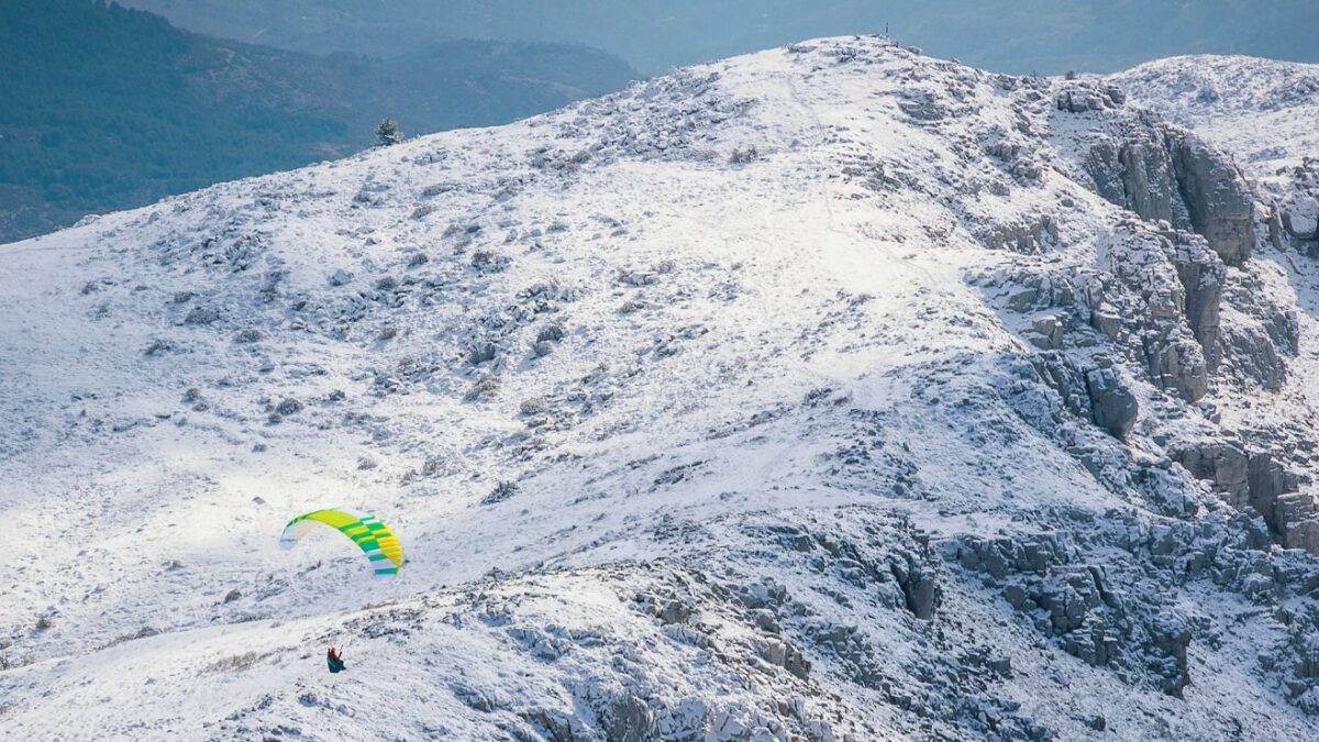 1681127623-9179 1681127623-9179