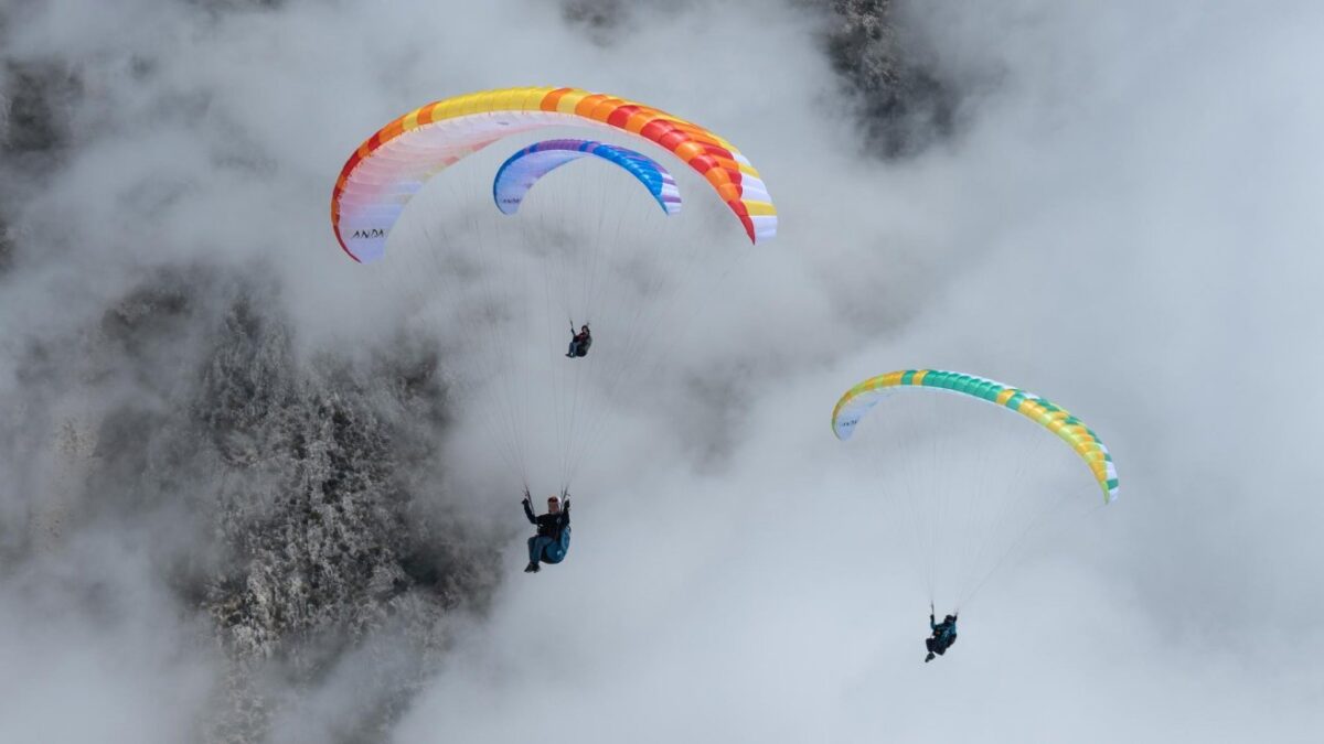 1684147661-2798 1684147661-2798