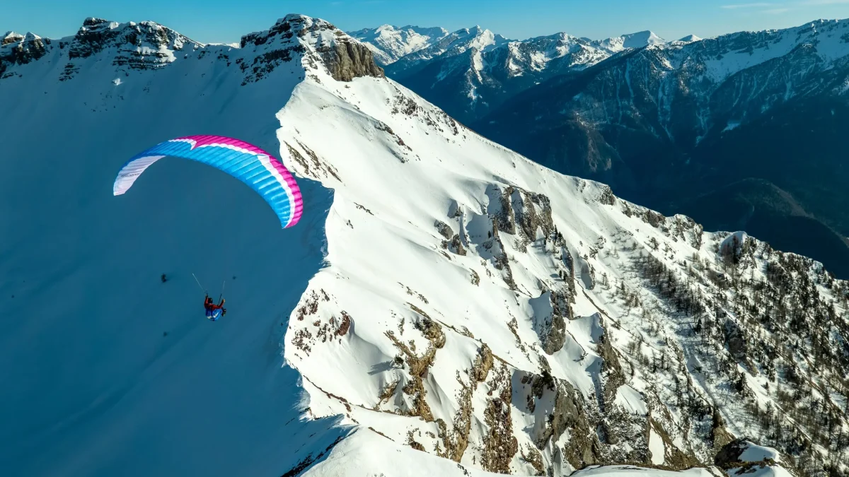 27f32ca494d95629acd53475a9826033245e3fc0-2500x1667 27f32ca494d95629acd53475a9826033245e3fc0-2500x1667