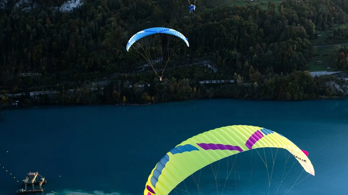 30ca3ea22de27a82e17ff6820316c8be4479667a-1667x2500 30ca3ea22de27a82e17ff6820316c8be4479667a-1667x2500