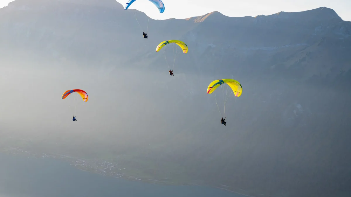 4573ef0b85facb8fad78a1b98e74df13f5cfae5d-2500x1667 4573ef0b85facb8fad78a1b98e74df13f5cfae5d-2500x1667