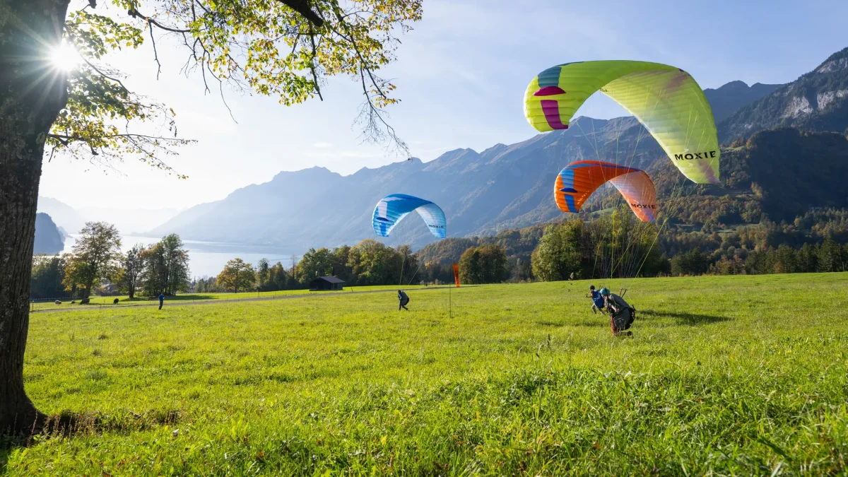 47d1048027bbaae11961c890ba3f420307421f1b-2500x1667 47d1048027bbaae11961c890ba3f420307421f1b-2500x1667