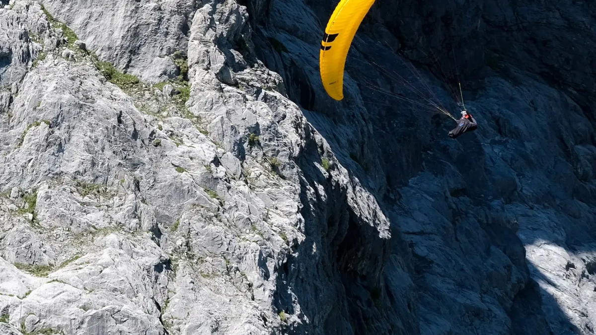 59984bf41d12b09953d6d93aedf016761035714a-1667x2500 59984bf41d12b09953d6d93aedf016761035714a-1667x2500