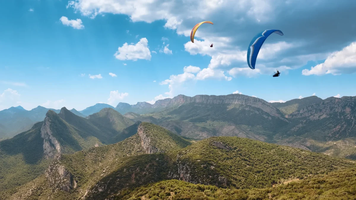 6c2201bf3937837976092f4279c56983dd92285b-2500x1667 6c2201bf3937837976092f4279c56983dd92285b-2500x1667