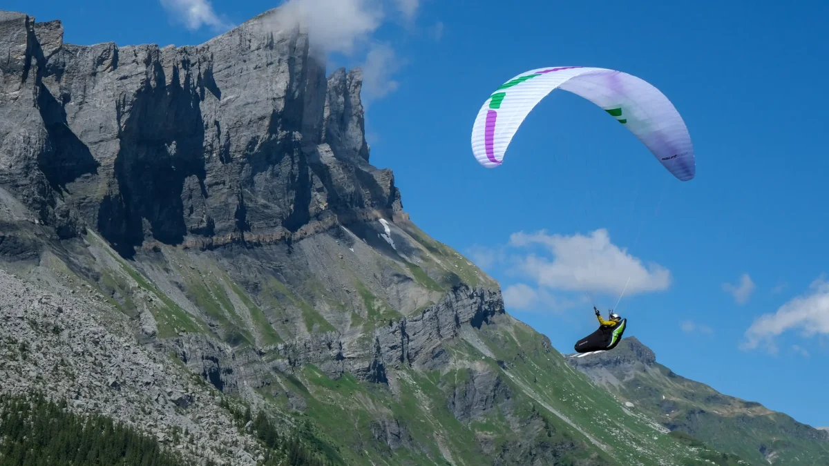 713a53b2f95e06b47f51bff4460ad57d64f0bd7a-2500x1667 713a53b2f95e06b47f51bff4460ad57d64f0bd7a-2500x1667