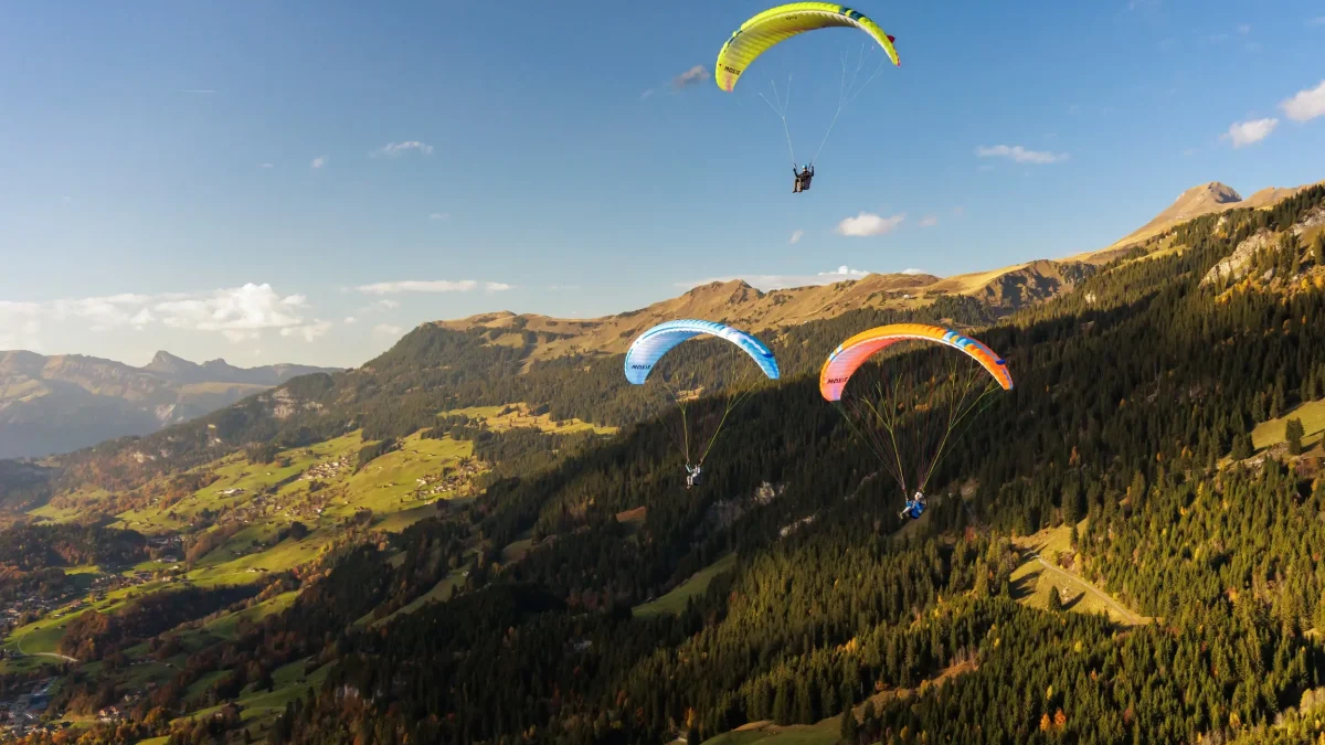 72325dba4a140394de123d28ca192e10f02f01d7-2500x1651 72325dba4a140394de123d28ca192e10f02f01d7-2500x1651