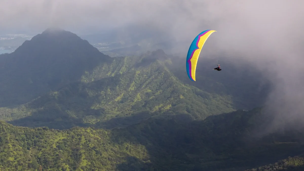 ozone-delta-4 (11) ozone-delta-4 (11)