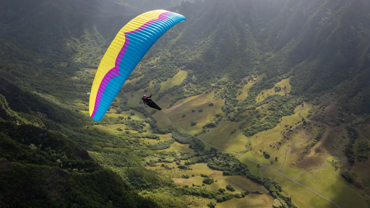 ozone-delta-4 (15) ozone-delta-4 (15)