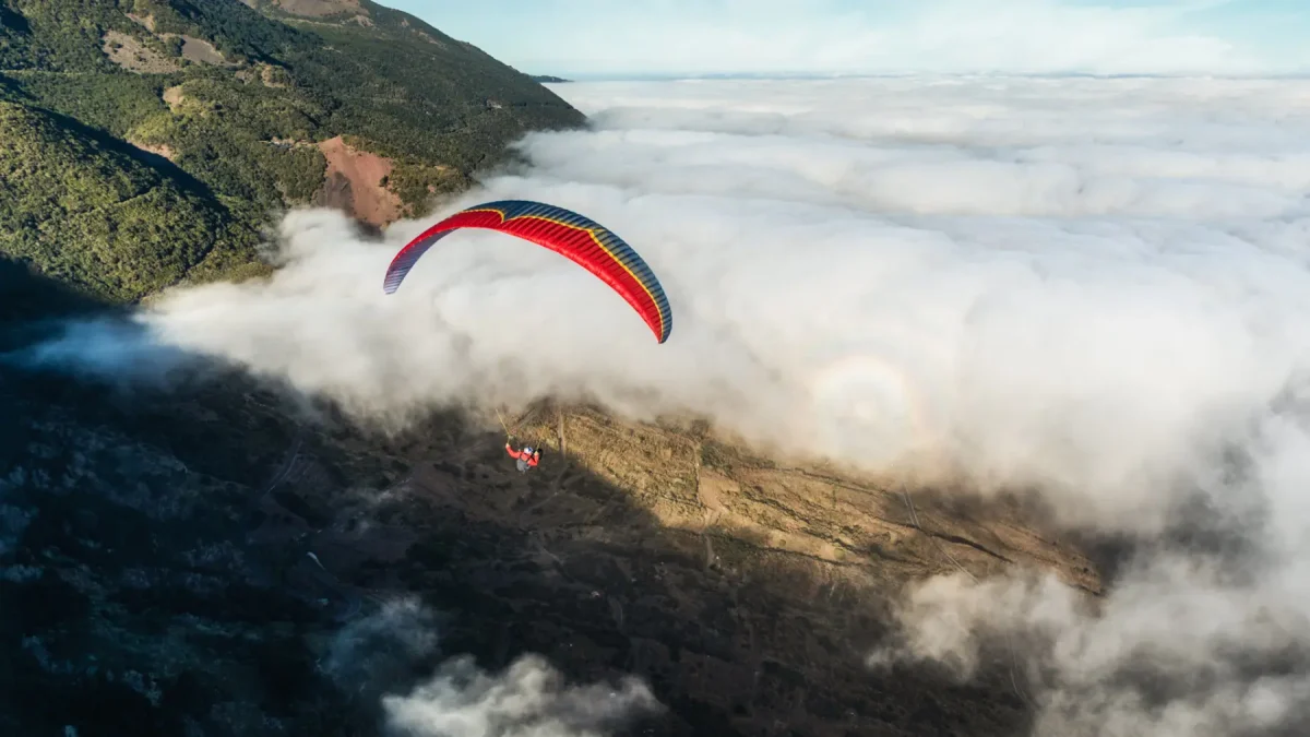 ozone-delta-4 (6) ozone-delta-4 (6)