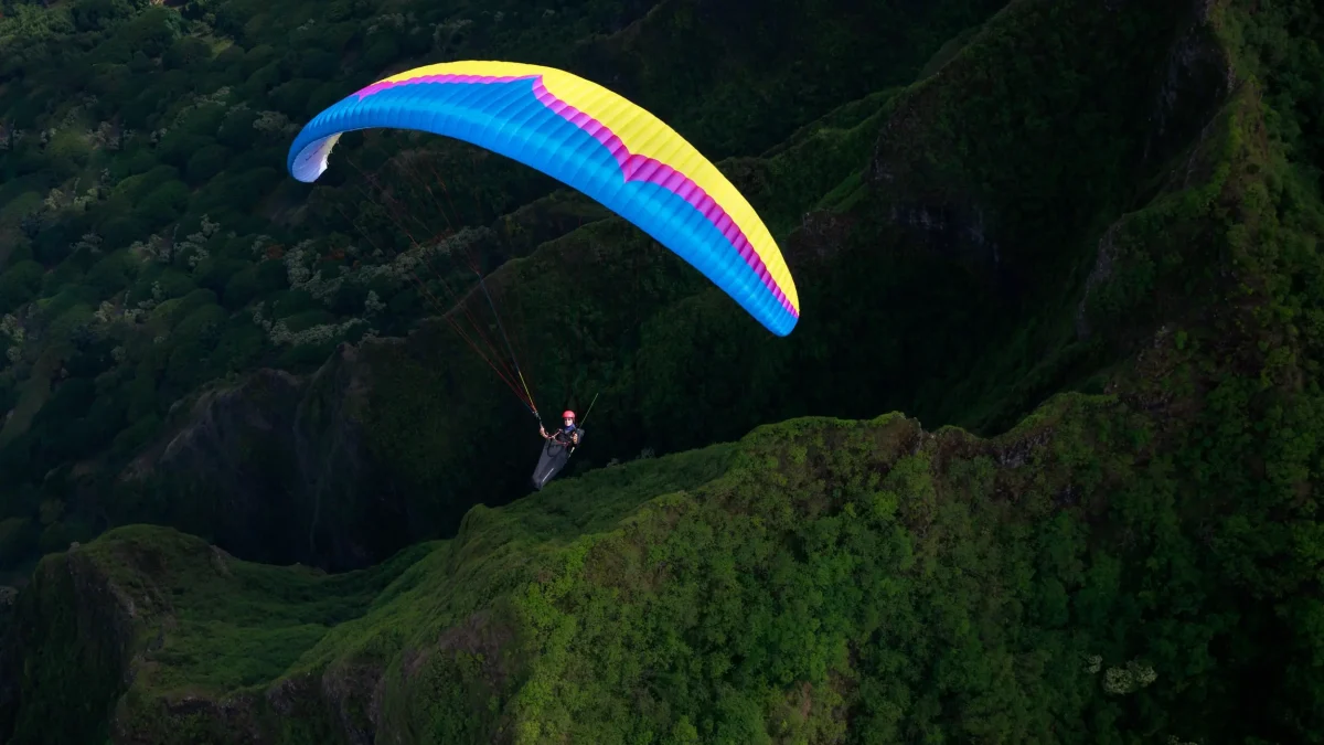 ozone-delta-4 (7) ozone-delta-4 (7)