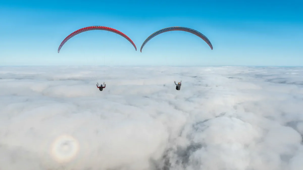 ozone-delta-4 (8) ozone-delta-4 (8)