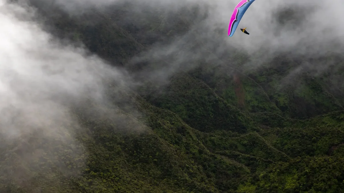 ozone-delta-4 (9) ozone-delta-4 (9)