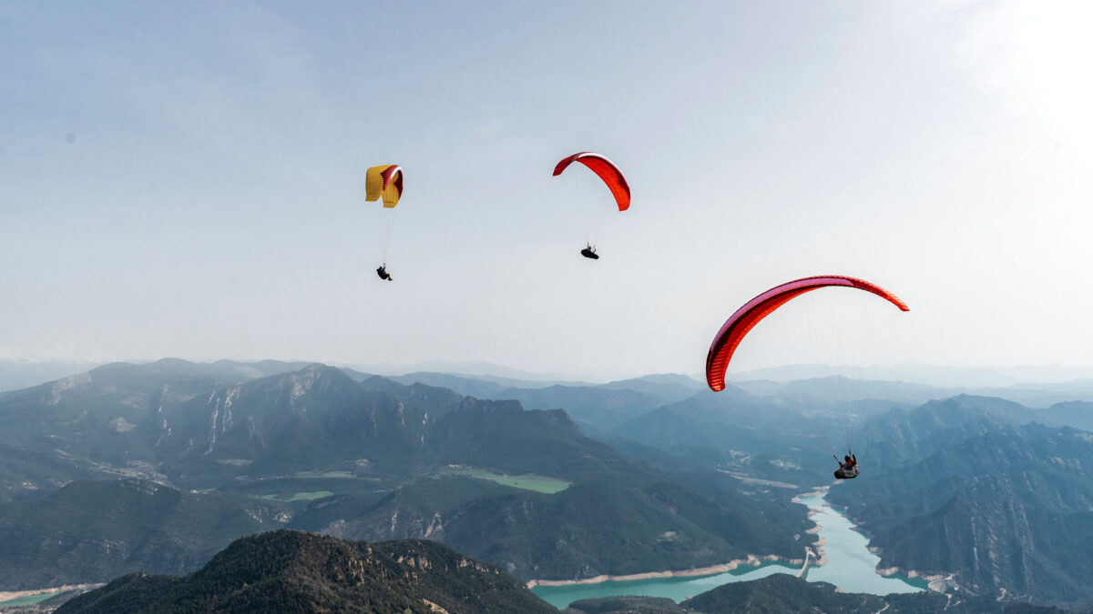 pg-avid-berga-15 pg-avid-berga-15