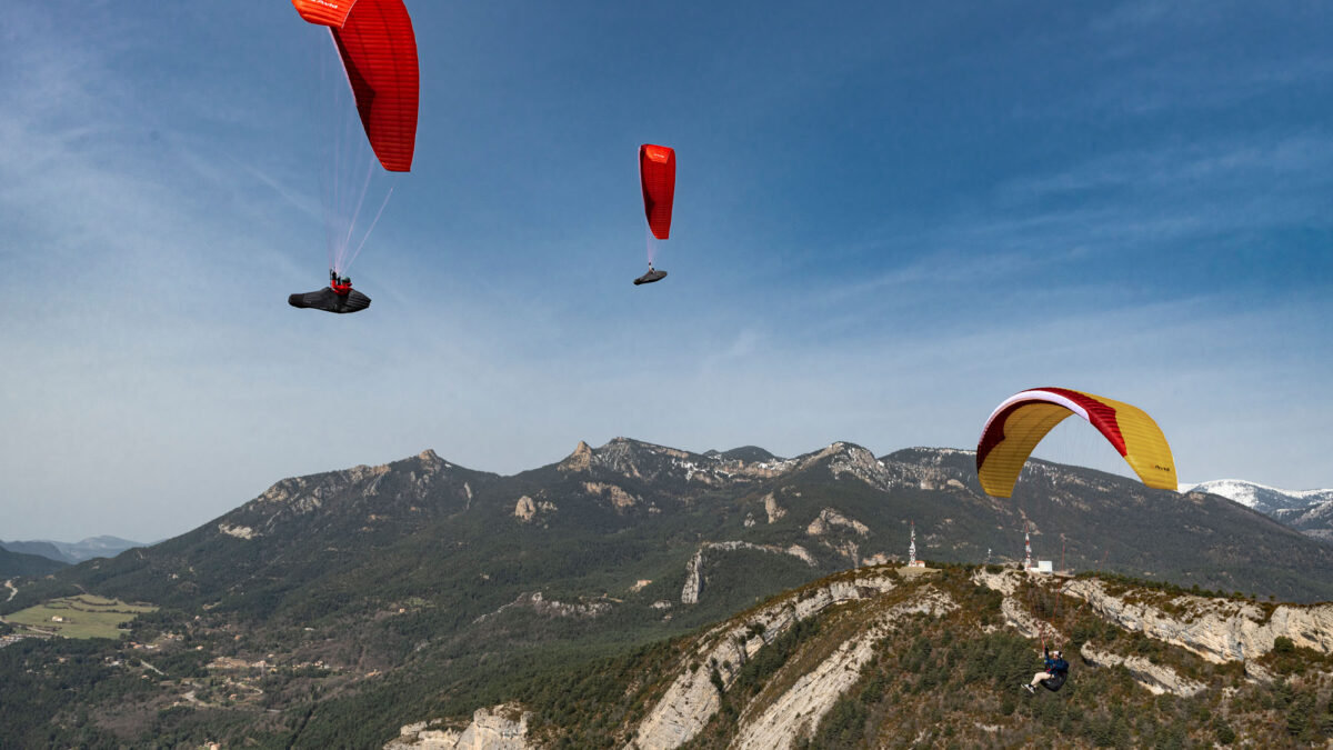 pg-avid-berga-21 pg-avid-berga-21