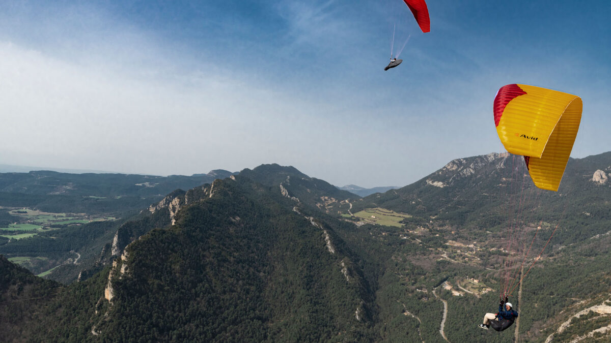 pg-avid-berga-22 pg-avid-berga-22