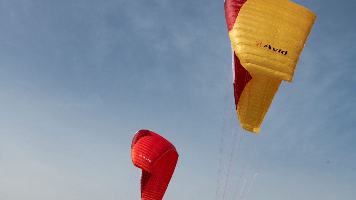 pg-avid-berga-3 pg-avid-berga-3