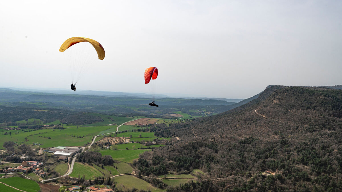 pg-avid-berga-32 pg-avid-berga-32