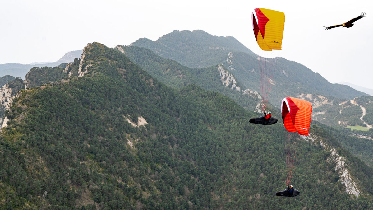 pg-avid-berga-37 pg-avid-berga-37