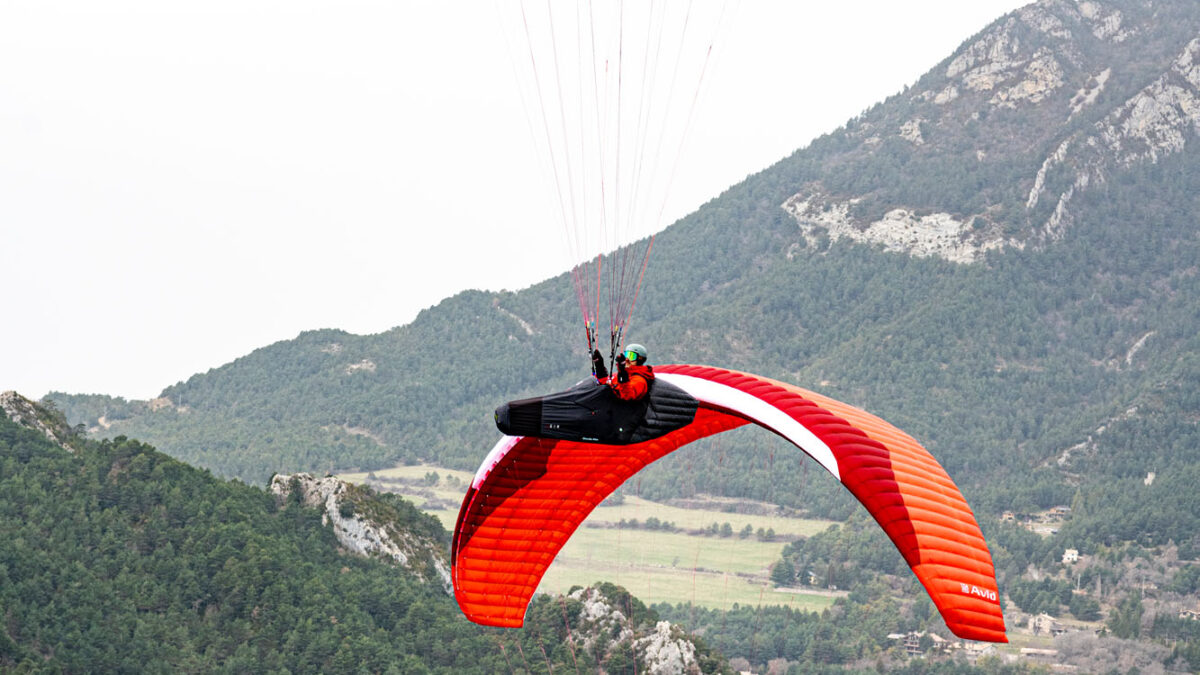 pg-avid-berga-40 pg-avid-berga-40