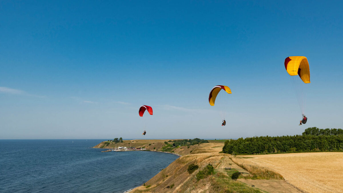 pg-avid-kaseberga-48 pg-avid-kaseberga-48