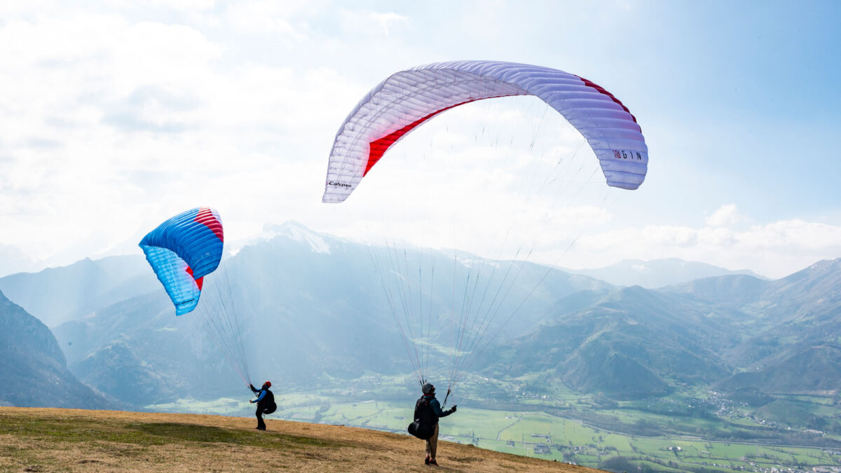 pg-calypso-010 pg-calypso-010