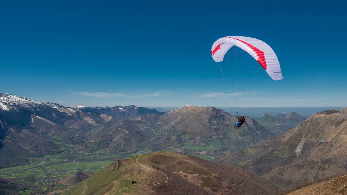 pg-calypso-082 pg-calypso-082