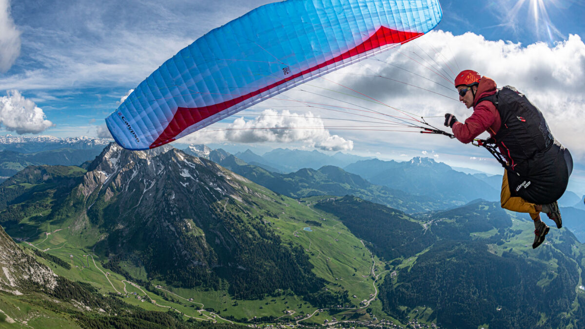 pg-calypso-44 pg-calypso-44