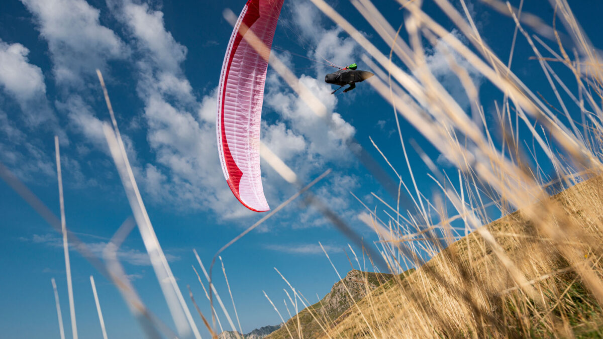 pg-camino-024 pg-camino-024