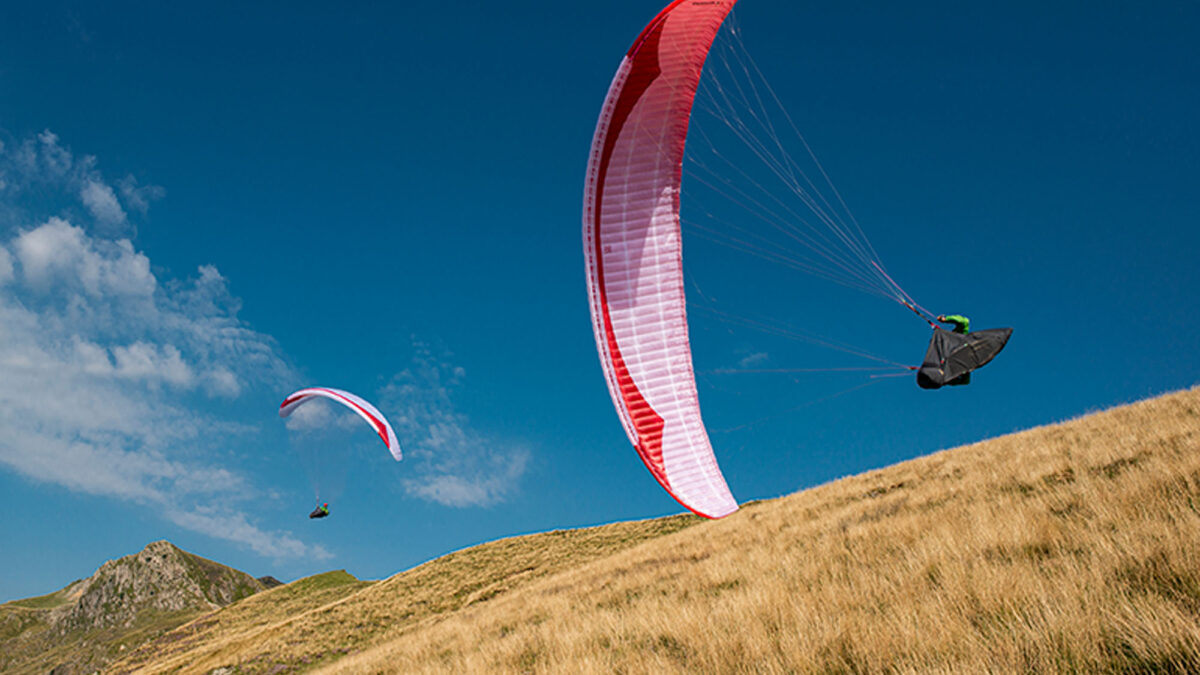 pg-camino-032 pg-camino-032