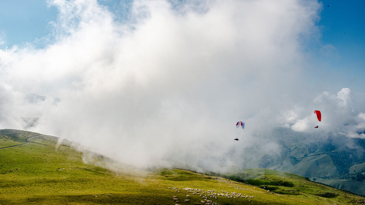 pg-camino-080 pg-camino-080