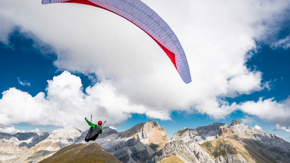 pg-camino-216 pg-camino-216