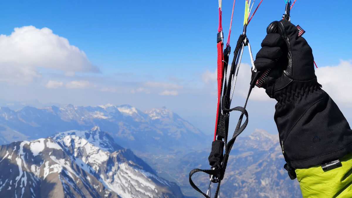 pg-camino-825 pg-camino-825