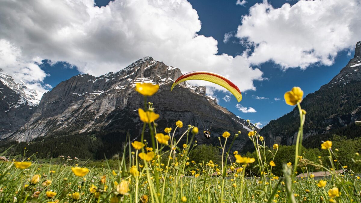 pg-explorer-2-802 pg-explorer-2-802