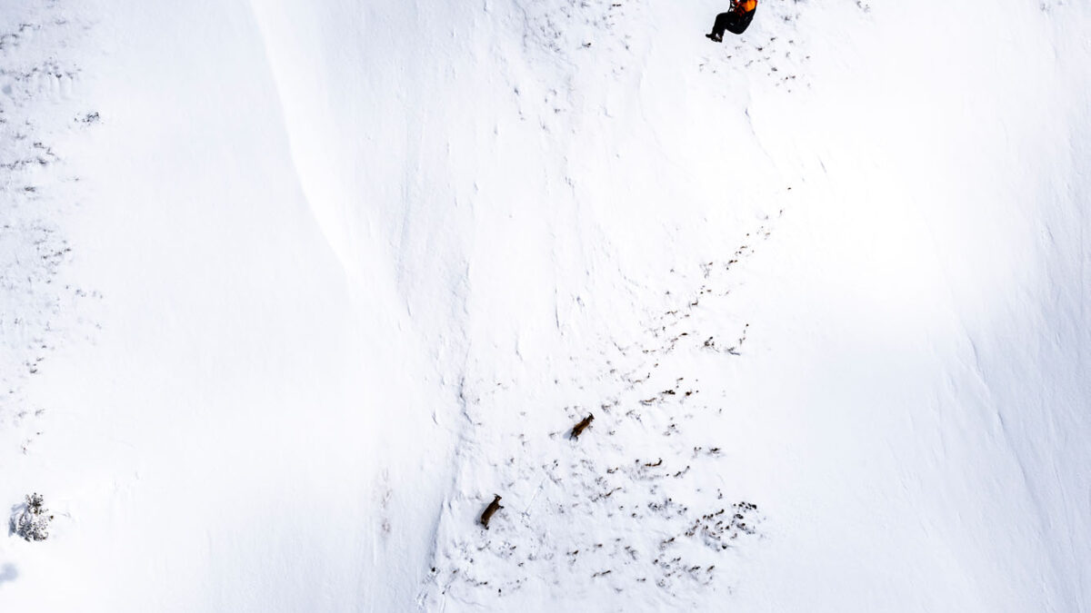 pg-explorer-2-apocalypse soon-41 pg-explorer-2-apocalypse soon-41