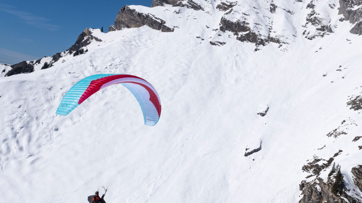 pg-explorer-2-plate-44 pg-explorer-2-plate-44