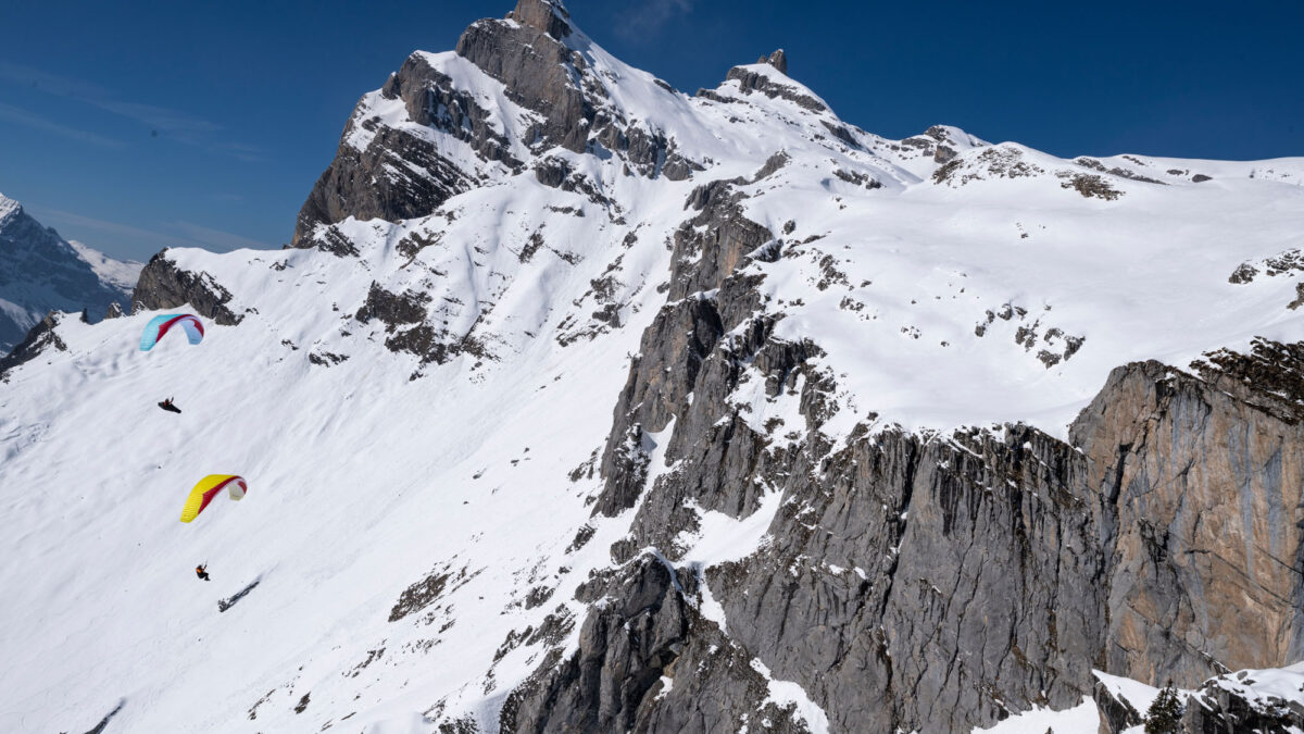 pg-explorer-2-plate-49 pg-explorer-2-plate-49