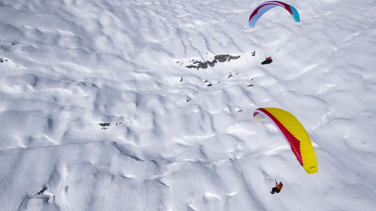 pg-explorer-2-plate-91 pg-explorer-2-plate-91