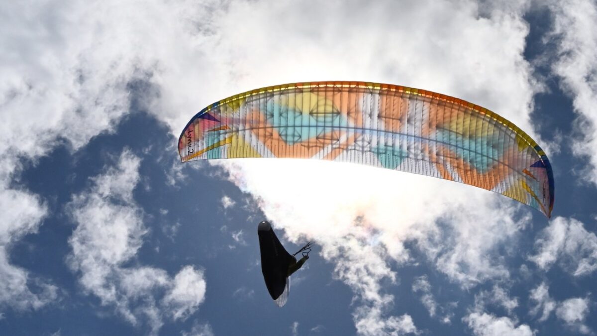 1677520546-8309 1677520546-8309